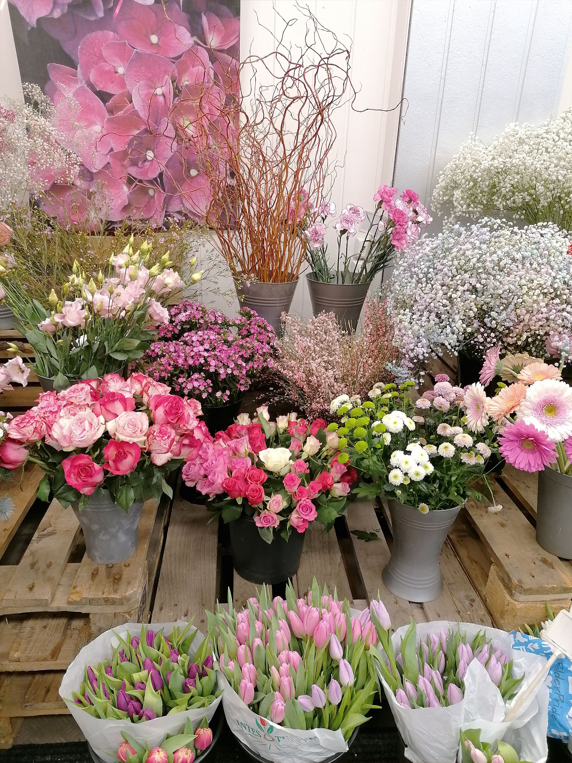 Frühling
