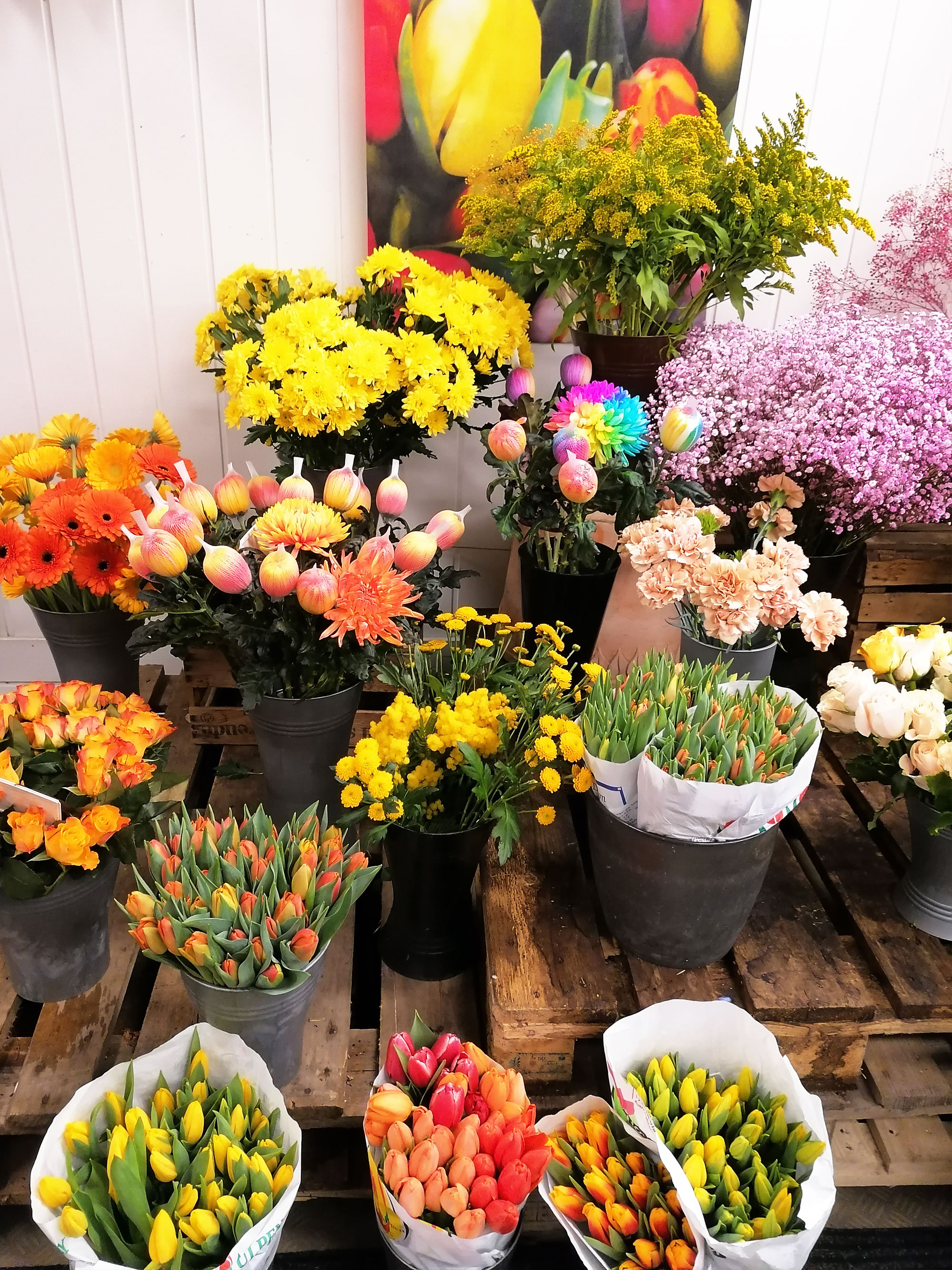Blumen