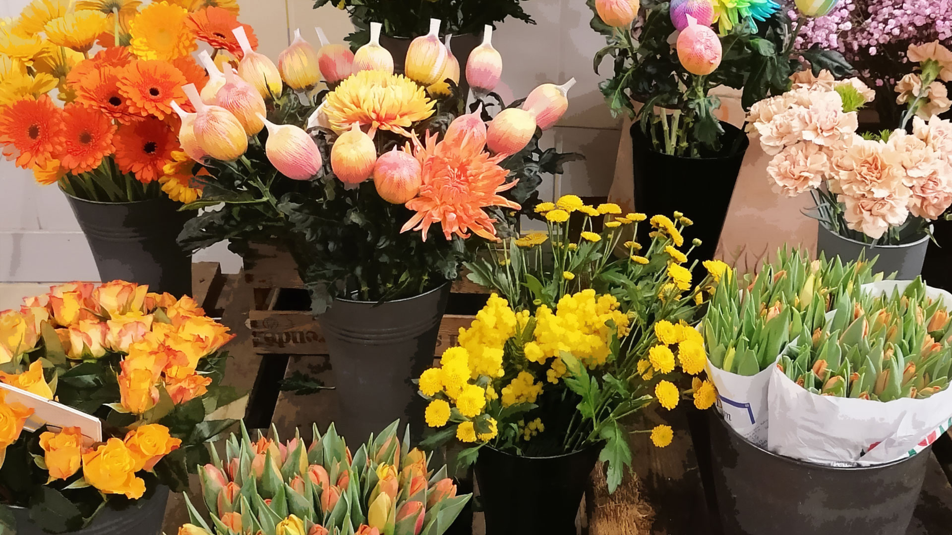 Frühling Blumen Angela