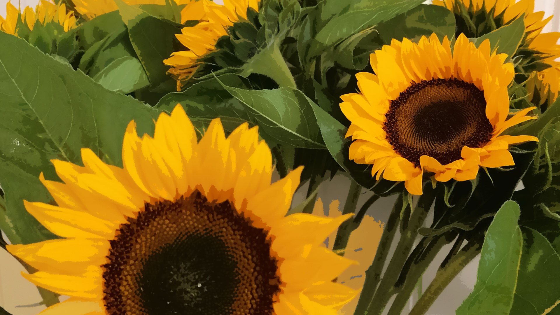 Blumen Angela